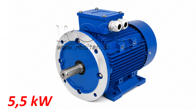 5.5KW-ELEKTRINIS VARIKLIS MS132S-4_1450RPM 3FAZĖS KOJOS+FLANŠAS-B3B5