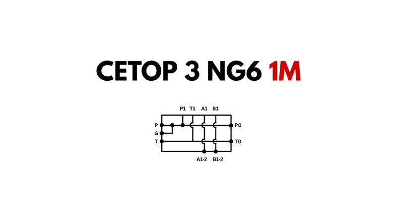 CETOP3 SOCKEL NG6 1M