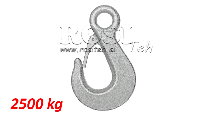 HAKEN MIT BEFESTIGUNGSAUGE 2500 kg