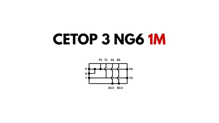CETOP3 SOCKEL NG6 1M