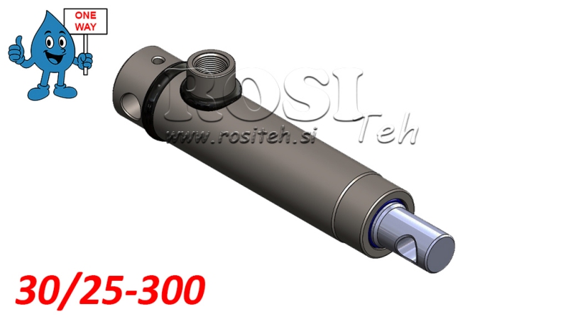 HYDRAULIKZYLINDER MONO 30/25-300