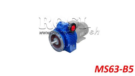 UDL VARIABLE REDUZIERER FÜR ELEKTROMOTOR MS63-B5